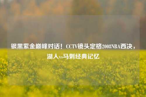 银黑紫金巅峰对话!CCTV镜头定格2008NBA西决,湖人vs马刺经典记忆