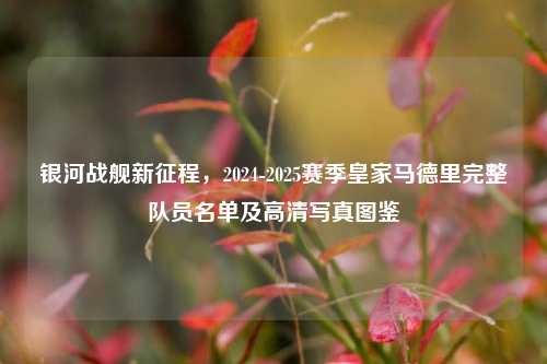 银河战舰新征程，2024-2025赛季皇家马德里完整队员名单及高清写真图鉴
