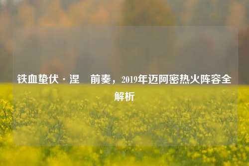 铁血蛰伏·涅槃前奏,2019年迈阿密热火阵容全解析
