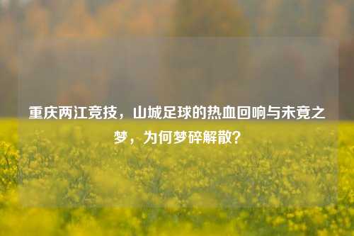 重庆两江竞技,山城足球的热血回响与未竟之梦,为何梦碎解散?