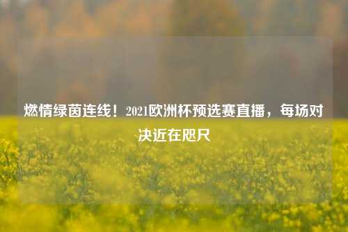 燃情绿茵连线！2021欧洲杯预选赛直播，每场对决近在咫尺