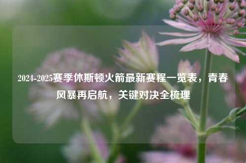2024-2025赛季休斯顿火箭最新赛程一览表,青春风暴再启航,关键对决全梳理