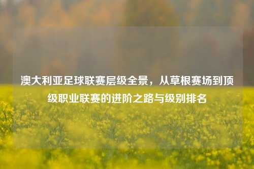 澳大利亚足球联赛层级全景,从草根赛场到顶级职业联赛的进阶之路与级别排名