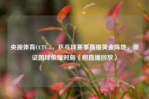 央视体育CCTV-5,乒乓球赛事直播黄金阵地,见证国球荣耀时刻(附直播回放)