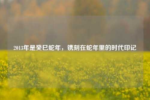 2013年是癸巳蛇年，镌刻在蛇年里的时代印记
