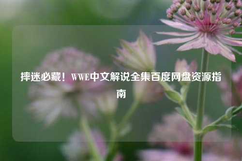 摔迷必藏!WWE中文解说全集百度网盘资源指南
