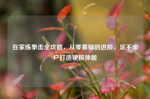在家练拳击全攻略,从零基础到进阶,足不出户打造硬核体能