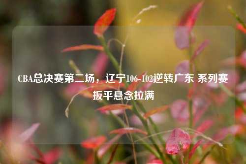 CBA总决赛第二场,辽宁106-102逆转广东 系列赛扳平悬念拉满