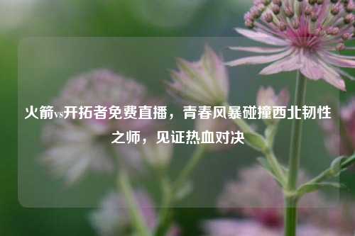 火箭vs开拓者免费直播，青春风暴碰撞西北韧性之师，见证热血对决