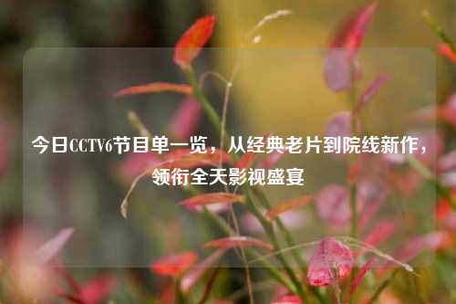 今日CCTV6节目单一览,从经典老片到院线新作,领衔全天影视盛宴