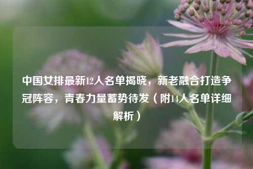 中国女排最新12人名单揭晓,新老融合打造争冠阵容,青春力量蓄势待发(附14人名单详细解析)