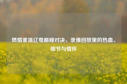 燃情重温辽粤巅峰对决,录像回放里的热血、细节与情怀