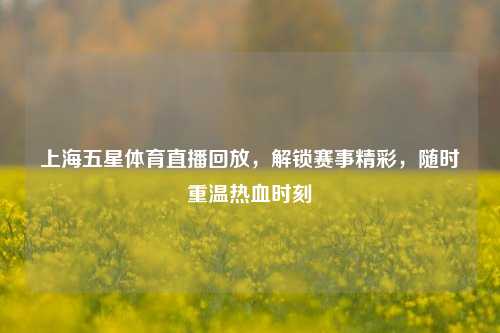 上海五星体育直播回放，解锁赛事精彩，随时重温热血时刻
