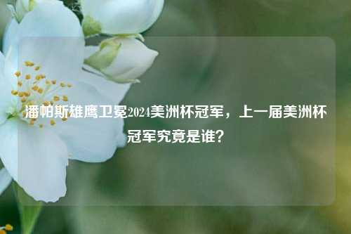 潘帕斯雄鹰卫冕2024美洲杯冠军,上一届美洲杯冠军究竟是谁?