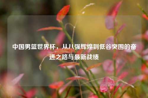 中国男篮世界杯,从八强辉煌到低谷突围的奋进之路与最新战绩