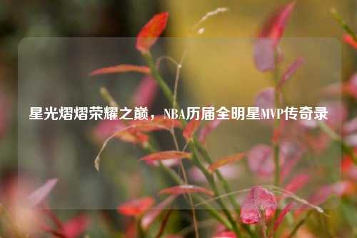星光熠熠荣耀之巅,NBA历届全明星MVP传奇录