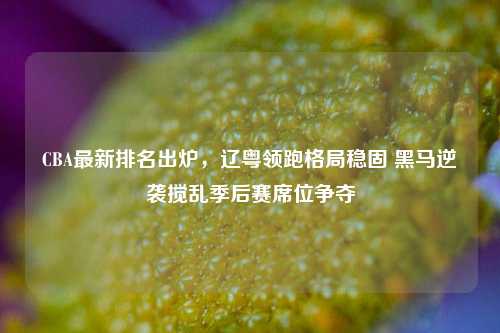 CBA最新排名出炉，辽粤领跑格局稳固 黑马逆袭搅乱季后赛席位争夺