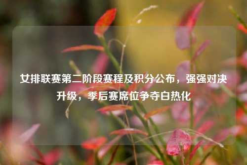 女排联赛第二阶段赛程及积分公布，强强对决升级，季后赛席位争夺白热化