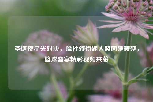 圣诞夜星光对决,詹杜领衔湖人篮网硬碰硬,篮球盛宴精彩视频来袭