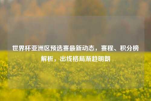 世界杯亚洲区预选赛最新动态，赛程、积分榜解析，出线格局渐趋明朗