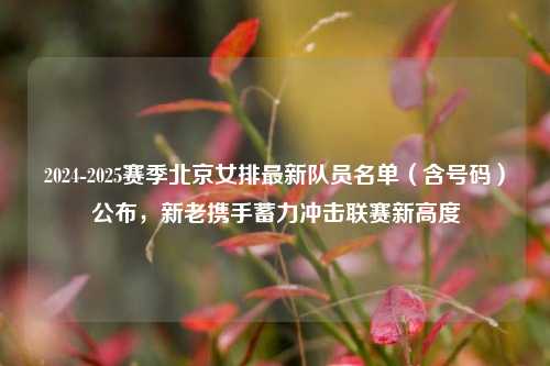 2024-2025赛季北京女排最新队员名单(含号码)公布,新老携手蓄力冲击联赛新高度