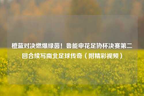 橙蓝对决燃爆绿茵！鲁能申花足协杯决赛第二回合续写南北足球传奇（附精彩视频）