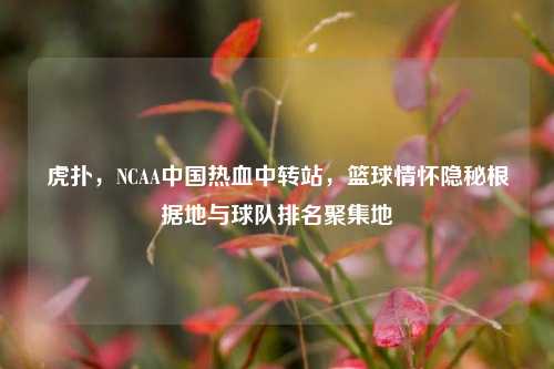 虎扑,NCAA中国热血中转站,篮球情怀隐秘根据地与球队排名聚集地