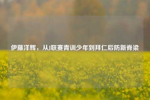 伊藤洋辉,从J联赛青训少年到拜仁后防新脊梁