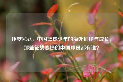 逐梦NCAA,中国篮球少年的海外征途与成长,那些征战赛场的中国球员都有谁?
