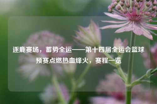 逐鹿赛场,蓄势全运——第十四届全运会篮球预赛点燃热血烽火,赛程一览