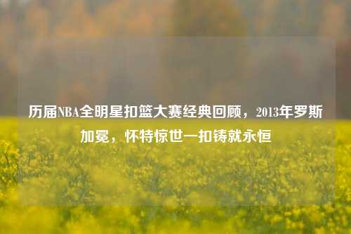 历届NBA全明星扣篮大赛经典回顾,2013年罗斯加冕,怀特惊世一扣铸就永恒