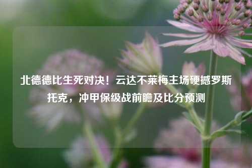 北德德比生死对决!云达不莱梅主场硬撼罗斯托克,冲甲保级战前瞻及比分预测