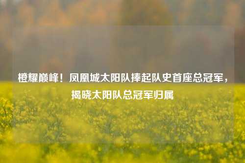 橙耀巅峰！凤凰城太阳队捧起队史首座总冠军，揭晓太阳队总冠军归属