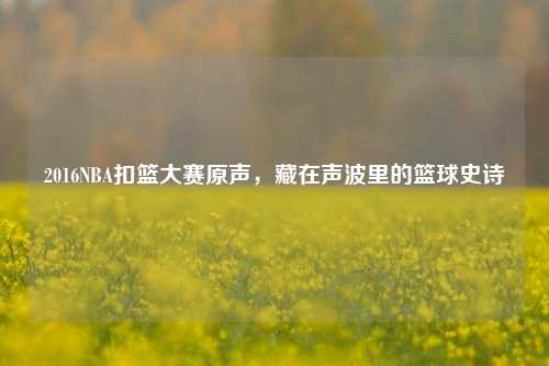 2016NBA扣篮大赛原声,藏在声波里的篮球史诗