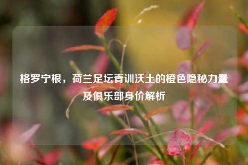 格罗宁根,荷兰足坛青训沃土的橙色隐秘力量及俱乐部身价解析