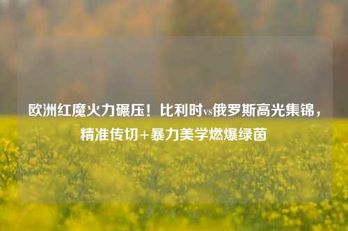 欧洲红魔火力碾压!比利时vs俄罗斯高光集锦,精准传切+暴力美学燃爆绿茵
