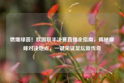 燃爆绿茵！欧国联半决赛直播全指南，揭秘巅峰对决地点，一键见证足坛新传奇