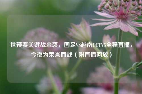 世预赛关键战来袭,国足VS越南CCTV5全程直播,今夜为荣誉而战(附直播回放)