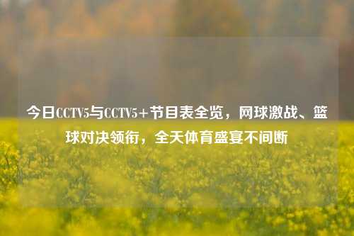 今日CCTV5与CCTV5+节目表全览，网球激战、篮球对决领衔，全天体育盛宴不间断