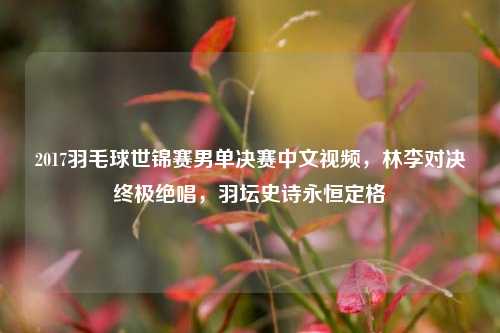 2017羽毛球世锦赛男单决赛中文视频,林李对决终极绝唱,羽坛史诗永恒定格