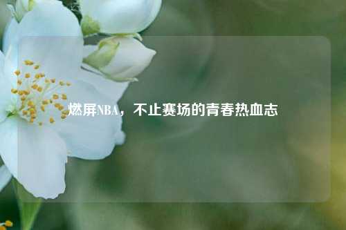 燃屏NBA,不止赛场的青春热血志