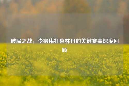 破局之战,李宗伟打赢林丹的关键赛事深度回顾