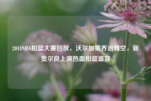 2014NBA扣篮大赛回放,沃尔加冕乔治腾空,新奥尔良上演热血扣篮盛宴