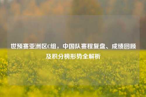 世预赛亚洲区C组,中国队赛程复盘、成绩回顾及积分榜形势全解析