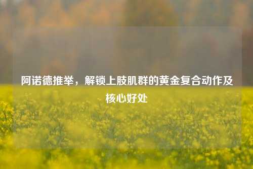 阿诺德推举,解锁上肢肌群的黄金复合动作及核心好处