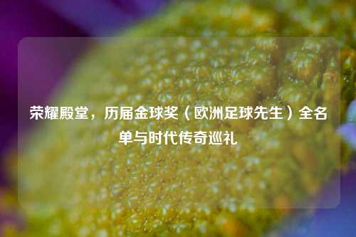 荣耀殿堂,历届金球奖(欧洲足球先生)全名单与时代传奇巡礼