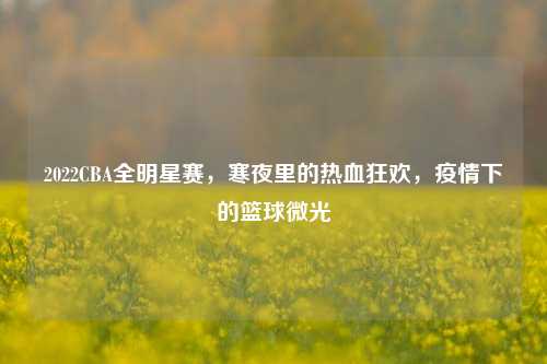 2022CBA全明星赛,寒夜里的热血狂欢,疫情下的篮球微光