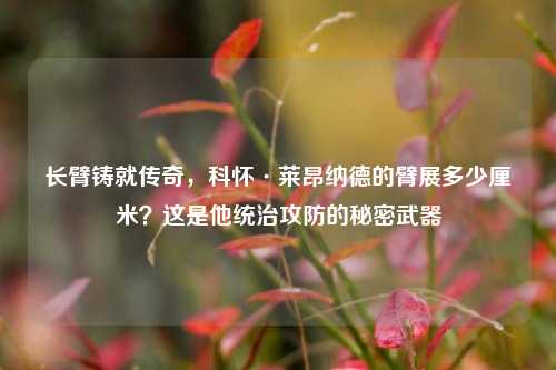 长臂铸就传奇,科怀·莱昂纳德的臂展多少厘米?这是他统治攻防的秘密武器