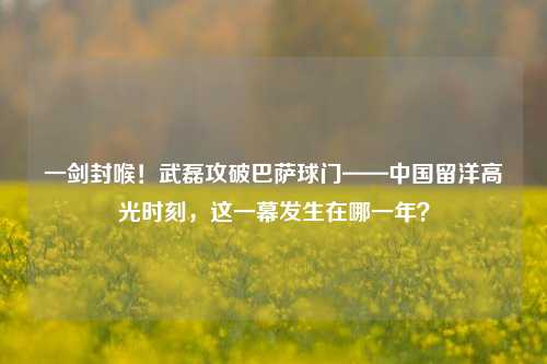 一剑封喉!武磊攻破巴萨球门——中国留洋高光时刻,这一幕发生在哪一年?
