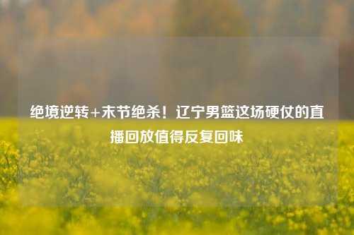 绝境逆转+末节绝杀！辽宁男篮这场硬仗的直播回放值得反复回味